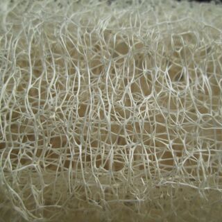 Loofah fibres up close