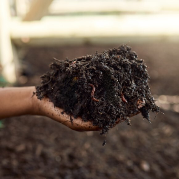 Composted soil