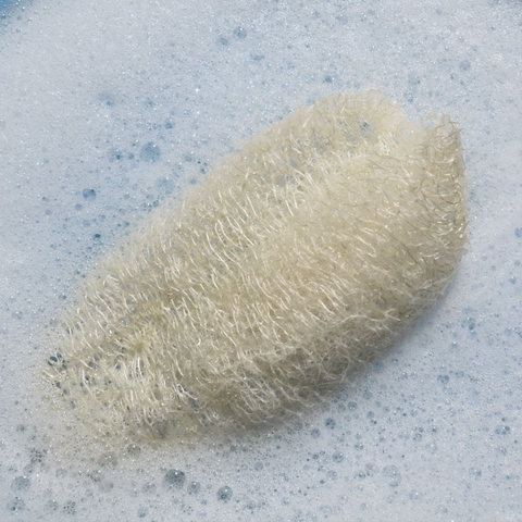 A natural loofah sponge floating in bubbles
