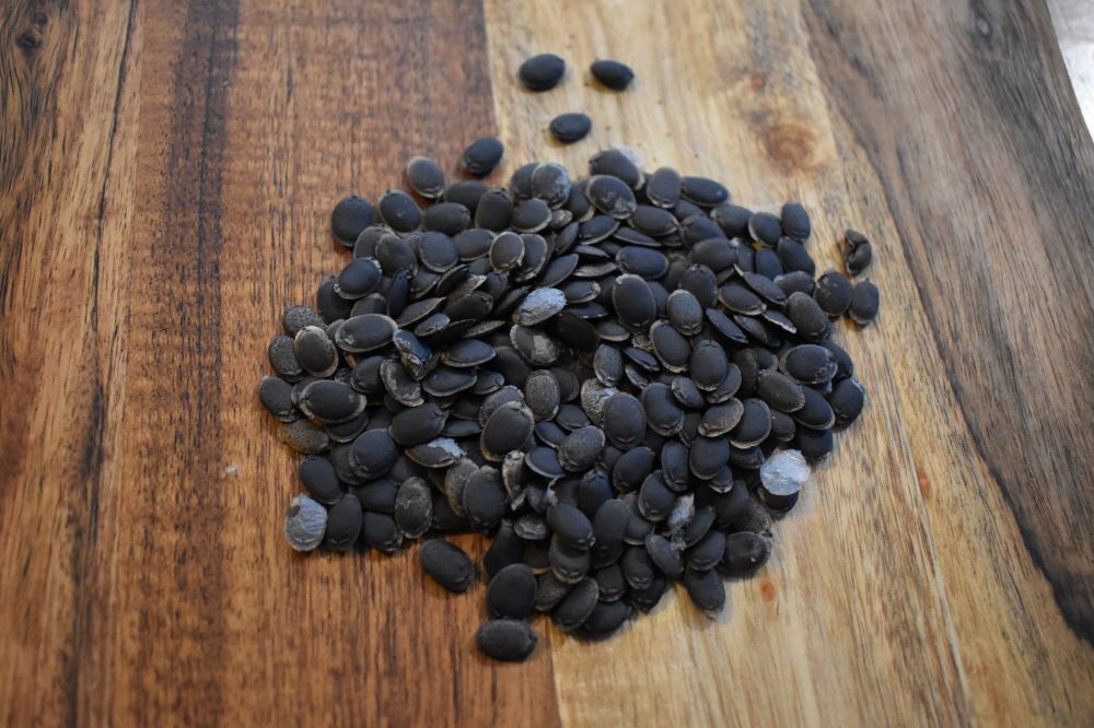 Find loofah seed suppliers