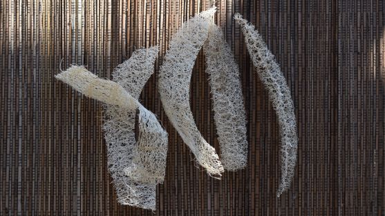 Loofah pieces for camp firestarters