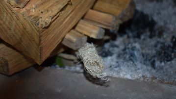 Fire with loofah wick sticking out