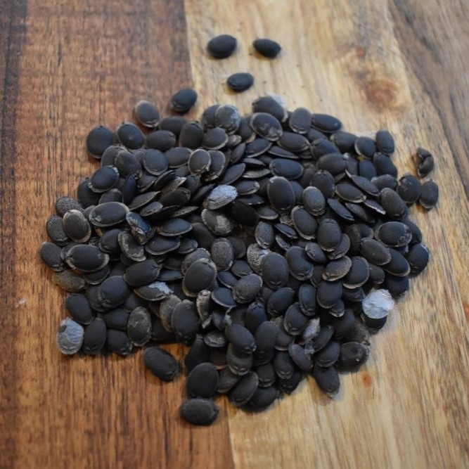 Loofah seeds ready to sow | luffa seeds