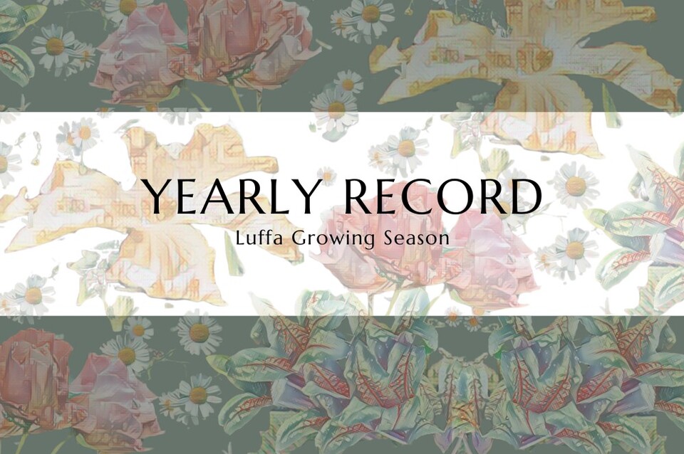 Free download for Loofah growing season