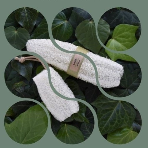 A large and small loofah sponge with label on a green leafy background