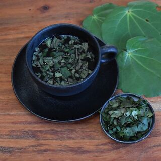 A Quick Guide To Growing Botanicals For Tea