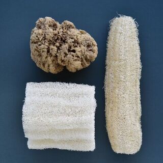 Loofah vs Sea Sponge
