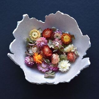 Grow Your Own Potpourri: The Best Botanicals to Plant for Natural Fragrance