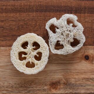 What Are Loofahs Made Of?